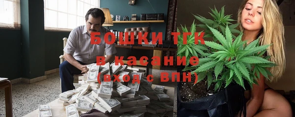 гашик Алексеевка