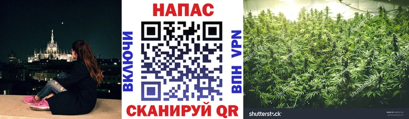 Бошки марихуана Bruce Banner Болгар